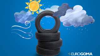 Mbroni gomat tuaja nga dielli, shiu dhe breshëri