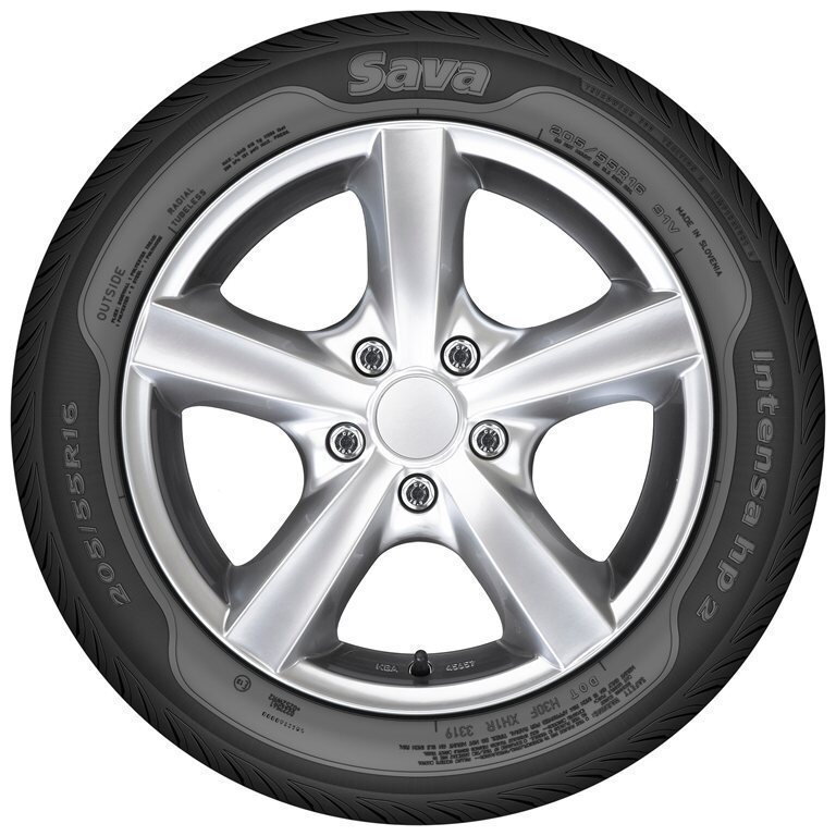 SAVA 2025